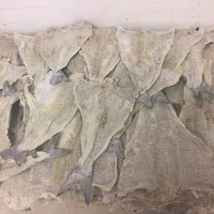  Poisson Sale Et Chinchard De La Norvege - poissons nous sommes une entreprise bas&eacute;e en norv&egrave;ge,  notre objectif est de permettre &agrave; nos clients d'acheter plus facilement du poisson de norv&egrave;ge sans probl&egrave;me afin de r&eacute;duire les co&ucirc;ts et les temps. --nous avons  conteneurs pour 20 pied et 40 pieds . poisson