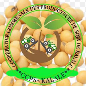  Soja Grain Sec Issue Des Variétés Améliorée - céréales nous sommes la coopérative communale des producteurs de soja de kalalé,  nous sommes au bénin formellement enregistrée au registre des organisations professionnelles agricoles du bénin et publier au journal officiel de la république du bénin. nous cher