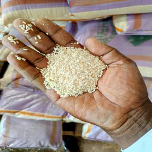  Riz Savana - céréales 27000 tonnes disponibles en 1000 tonnes--nous sommes située au cameroun ,  la date de péremption du riz est jusqu'en 2024--pour tout accord avec le client,  nous permettons au client de venir chercher le produit dans nos entrepôt