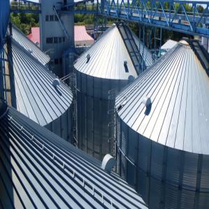  Dorper And Merino Production - live animals we are looking for a financial partner for sheep breeding and wool production. it is planned to use dorper and merino sheep. starting with 200 sheep. our part has the necessary territory,  infrastructure,  feed production and sales.