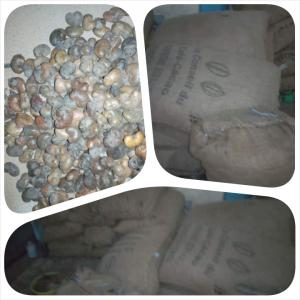  Noix De Cajou Brute Vendre En Urgence - fruits et légumes nous disposons de plus de 90 tonnes de noix de cajou brutes à abidjan abobo.--nous recherchons acheteur direct pour acheter toute le stock à 370 francs par kilo à revoir légèrement.