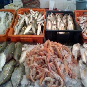  Poissons De Tunis (kélibia) - poissons nous cherchons des clients au canada ou ailleurs pour vendre des poissons frais et congelés (crustacés,  céphalopodes,  bleus) exportés depuis la tunisie si vous etes intéressé veuillez nous contacter