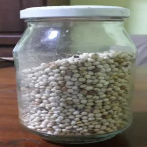 White Millet - roasted seeds and nuts millet is one of the oldest cultivated grains in the world and has been grown throughout africa and southeast asia for thousands of years. millet can be used to make bread,  beer,  cereal,  and other dishes. even today,  millet is a staple food around the world.--in fact,  millet is gaining renewed popul