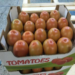  Fruits Et Légumes Origin De Maroc - fruits et légumes fruits et l&eacute;gumes origin de maroc. --tomates/poivrons/ piment/ capia/courgette...----d&eacute;part almeria espagne. --d&eacute;part bologna italie.----paiement tt. --