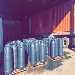  Ventes D'oignons Sauvage Selling Lampascioni - fruits et légumes on dispose d'une quantit&eacute; importante d'oignons sauvages en saumure au maroc &agrave; exporter en italie. --on exporte 84 f&ucirc;ts de 170kg dans un conteneur de 40 