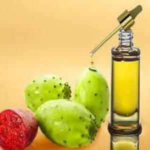  Huiles De Pepins De Figue De Barbarie - huiles  usine bas&eacute; en tunisie sp&eacute;cialis&eacute; dans le domaine de fabrication des produits &agrave; la base de p&eacute;pins de figues de barbarie (huile vinaigre et farine) tout en utilisant des m&eacute;thodes 100% naturels pour avoir des produits 100% bio --