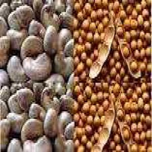  Clients De Céréales - céréales nous recherchons des clients &agrave; qui nous allons vendre des tonnes de soja d'acajou de piment d'ail et bien d'autres. nous rappelons que ces c&eacute;r&eacute;ales sont vendus &agrave; la tonne. merci
