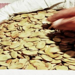  Feve Origine Tunisie - matiere vegetale nous vous offrons la meilleure qualit&eacute; de f&egrave;ve d'origine tunisienne emball&eacute;e dans des sacs de 25 kg cif port casablanca