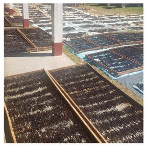  Partir De 275€ Le Kilo Vanille De Madagascar - épices aromates notre société est en mesure de fournir jusqu'à 5000 kg de vanille de madagascar. et notre expertise nous permet d'offrir une qualité exceptionnelle de vanille ainsi qu'une  flexibilité de prix de vente pour tous les clients du monde entier. our company is able to s