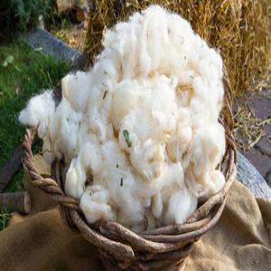  Laine De Mouton Conditionné - autres nous sommes une soci&eacute;t&eacute; de pr&eacute;paration et conditionnement de laine de mouton en cours de r&eacute;alisation bas&eacute; en alg&eacute;rie ,  dans le cadre d'&eacute;tude de march&eacute; dans le futur,  nous cherchons des clients potentiels pour exporter ce produit n&eacute;cessai