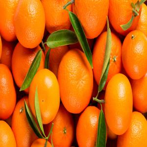  Orange Et Mandarine Espagnol - fruits et légumes vous cherchez un fournisseur d'orange ou de la mandarine d'espagne de tr&egrave;s bonne qualit&eacute; ? je suis en contact directe avec les propri&eacute;taires des champs et avec les almacenes de valencia. je peux vous trouver de la bonne qualit&eacute; des ces fruits a prix imbattable quelque