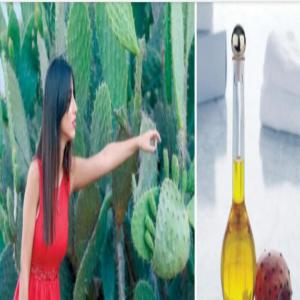  Entrepreneur Tunisienne - huiles bonjour je suis une jeune dipl&ocirc;m&eacute;e tunisienne en cours de cr&eacute;ation d'entreprise d'extraction d'huile de figue de barbarie bio issus de 1&egrave;re pression &agrave; froid. je cherche mes future clients pour les quelles je peux exporter mon produit pour une future collaboration. j