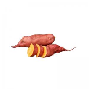  Vends Patate Douce - fruits et légumes ferme maraich&egrave;re situ&eacute;e dans les hauts de france (59) vends patate douce made in france id&eacute;al pour transformation. plusi vari&eacute;t&eacute;s disponible. n'h&eacute;sitez pas &agrave; me recontacter pour plus d'informations.