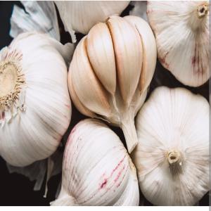 Ail Blanc Normal - fruits et légumes le prix de l'ail baisse voici notre meilleur prix d'ail pour vous l'ail blanc nouvelle r&eacute;colte de 2022 disponible en chine 1170$/tonne cif dakar