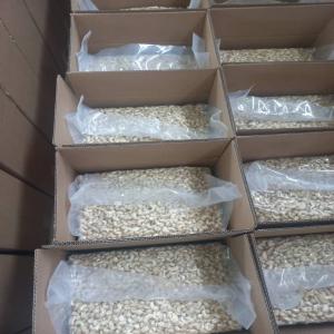  Vente De Noix De Cajou Décortiqués W320 - fruits secs et graines grillées 2 conteneurs de noix de cajou d&eacute;cortiqu&eacute;s w320 disponibles au bissau. les deux conteneurs font 30 tonnes avec 700 cartons chacun. chaque carton p&egrave;se 22.5 kg. je peux assurer un approvisionnement de 5 &agrave; 6 conteneurs par mois. prix unitaire 6 50 usd/kh