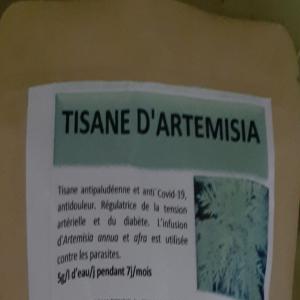  Tisane Artemisia - café cacao thé c'est une tisane antipalud&eacute;en et anti covid 19. un antidouleur,  r&eacute;gulateur de la tension art&eacute;rielle et du diab&egrave;te. 