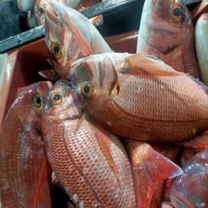  Poissons Frais Et Congelés - poissons bonjour à tous ,  nous sommes à la recherche de clients qui sont intéressés à l'achat des produits halieutiques frais et congelés avec meilleure qualité ainsi que du bon prix au marché . --nb- nous avons tous les normes sanitaires  . --pour plus