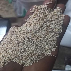  Sésame En Vente - céréales 1000 tonnes de sésame bigarré mixte disponible à l'ouest de la côte d'ivoire au prix de 750 fcfa le kilogramme.--avec un bon de commande et les frais de transport nous pouvons envoyer la marchandise au port dont vous désirez en afrique de l'ouest. 