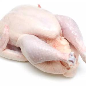  Frozen Chicken Whole Frozen Beef Chicken Fish Mea - meat and eggs our whole frozen chicken are accordingly to islamic (halal) and international requirements. chicken parts; 1. frozen whole chicken 2. frozen chicken feet 3. frozen chicken paws 4. frozen chicken breast 5. frozen chicken thighs 6. frozen chicken drumstick 7. frozen chicken leg quatars 8.