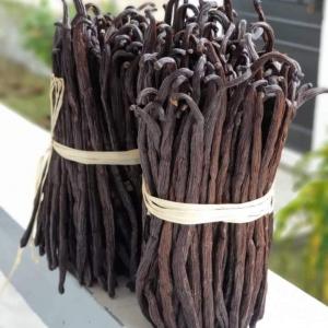  Wholesale High Quality Bourbon Vanilla Beans - aromatic spices we are spices exporter and vanilla beans wholesaler from madagascar provide best quality dried bourbon vanilla beans at the best export rate price and fast delivery to your address. length 17cm+ moisture 30% 35% vanillin 2 5% shelf life 24 months storage vacuum packed delivery lead time 