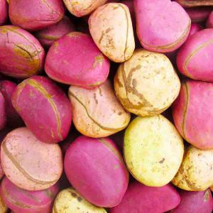  La Noix De Cola - autres nous sommes une entreprise de n&eacute;goce dans le domaine de la noix de cola bas&eacute;e &agrave; abidjan (c&ocirc;te d'ivoire) nous sommes ouvertes &agrave; toutes personnes ou entreprises d&eacute;sireuse d'acheter la noix de cola de bonne qualit&eacute; en c&ocirc;te d'ivoire peuvent nous co