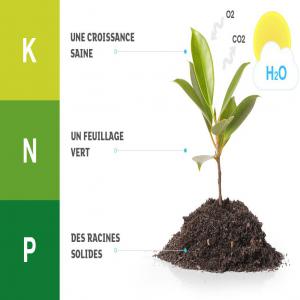  Fertilisants Urée Npk - chimie additif engrais  chers partenaires. vous etes dans le business des fertilisants et avez de grandes commandes. nous sommes l&agrave; pour vous aider avec des fournisseurs cr&eacute;dibles avec des conditions de vente &eacute;tudi&eacute;es. ur&eacute;e 46 npk 15 15 15 npk 10 18 24 npk 20 20 20