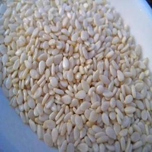  Je Dispose De Sésames En Grande Quantité En Stock - céréales s&eacute;same disponible en grande quantit&eacute;( nous sommes en plein r&eacute;colte) 10.000tonnes de s&eacute;same blanche bio. soja disponible plusieurs tonnes environ 10.00000tonne. disponible au burkina faso uniquement des partenaires s&eacute;rieux et obligations de visite sur le terrain