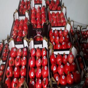  Pomegranate - fruits et légumes nous cherchons des acheteurs sérieux pour pomegranate nouvelle récolte calibre 3 et 4 avec un taux de jus 75%.--origine tunisie.--si vous etes intéressé vous pouvez nous contacter par email ou whatsapp 