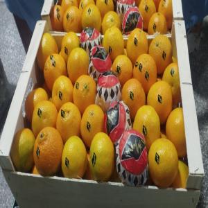 Fruits Et Légumes De Maroc - fruits et légumes fruits et l&eacute;gumes de maroc. --pour l'export. --d&eacute;part agadir. ----mode de paiement par les garanties d'assurance bancaire. ----d&eacute;lai de 7 jours.------cordialement. 