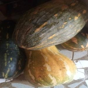  Melon Frais Des Stocks - fruits et légumes nous sommes une coop&eacute;rative nous disposons des stocks de melon que nous mettons &agrave; votre disposition pour plus d'informations merci 