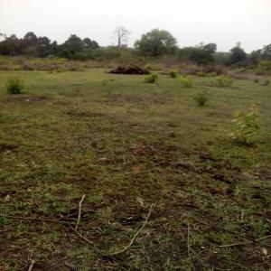  Domaines Agricoles - mine terrain concession nous mettons en vente sur toute l'&eacute;tendue du territoire plus de 10.000 hectares de terres bien positionn&eacute;es facile d'acc&egrave;s propices pour tous vos projets agricoles industriels et immobiliers. nos domaines vous offrent une tr&egrave;s bonne qualit&eacute; de fertilit&eacute