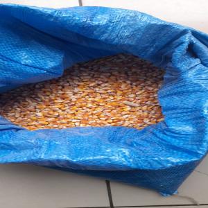  Maïs Jaune - céréales nous disposons d'une quantité importante de maïs en côte d'ivoire ayant les caractéristiques suivantes ----- - maïs jaunes nouveau ---humidité - 13-15% max--quantité - plus de 2000 tonnes--livraison - abidjan----- maïs jaunes ancien ---humidité - 10-12% max--