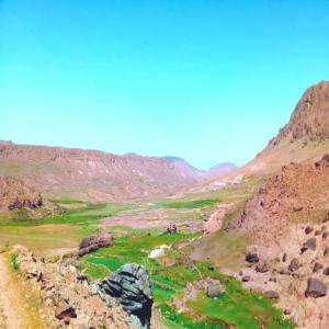  Safran Taliouine - épices aromates safran de qualité--la région de taliouine--exactement pres de jbal toubkal--safran de qualité