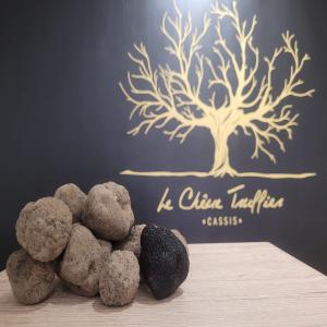  Le Chêne Truffier Truffe Toute Saison - champignon levure vend truffe tuber - ----aestivum,  melanosporum,  brumal,  incinatum,  indicum,  magnum pico,  ----toute espèce,  toute origine ,  toute quantité,  toute qualité.----nos tarifs sont établis en fonction des cours hebdomadaires. ----nous garantissons le meilleurs choix en fonction d