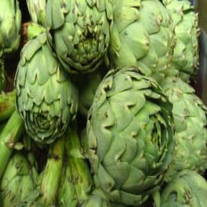  Je Cherche Un Client Pour - fruits et légumes bonjour nous cherchons des clients en france,  italie et belgique afin d'établir un contrat pour la vente d'artichaut et grenade depuis la tunisie. si vous etes intéressé veuillez nous contacter 