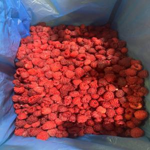  Vindem Zmeura Congelata In Cantitati Mari - fruits et légumes cautam clienti pe piata europeana, interesati in achizitia de zmeura congelata, din productia anului 2022.origini polonia