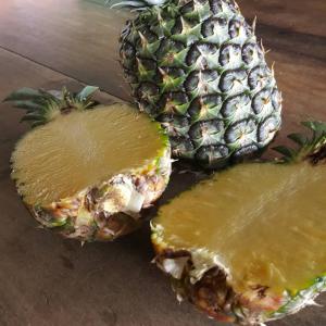  Vente Fruits Et Légumes De Côte D'ivoire - fruits et légumes notre objectif principal est de r&eacute;pondre aux besoins des entreprises importatrices en fruits exotiques.----caract&eacute;ristiques ananas frais ----vari&eacute;t&eacute; -md2 --norme- unece-norme--conditionnement- emballage en carton- 11 kg & 12 kg --emballage- 1600 cartons ;20 palettes ;80 c