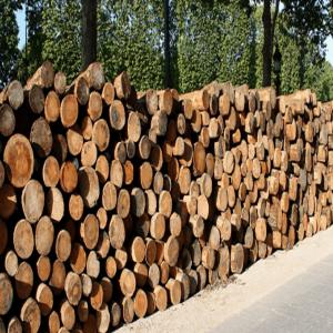  Vente De Bois De Chauffage - bois charbon fibre nous vendons des bois de chauffage de tr&egrave;s bonnes qualit&eacute;s &agrave; un prix raisonnable et la livraison est gratuite 1 st&egrave;re de bois de chauffage est 50   .