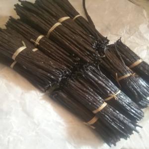  Vanilla Beans Supplier From Madagascar - aromatic spices we are vanilla beans manufacturer wholesaler exporter furnish best quality dried bourbon vanilla beans from northeastern madagascar sava region.the pods is very high quality and ready to export. length from 14cm+ moisture 30%_35% vanillin 2 5%