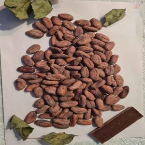  Cafe Robusta Arabica, Golden Cacao, Haricot - café cacao thé nous sommes des indépendants dans la production du cacao,   du café,   du haricots et de la banane.  nos produits sont frais et cent pour cent sans concervateur. la production se fait dans notre pays d'origine qui est le cameroun. nous sommes à la recherche de clients et potentiel