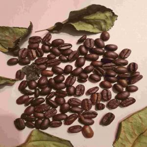  Cafe Robusta Arabica, Golden Cacao, Haricot - café cacao thé nous sommes des ind&eacute;pendants &agrave; la recherche de consommateurs et potentiels partenaires pour l'exportation de nos produits cafe cacao th&eacute; haricots. nos produits sont originaire du cameroun. 