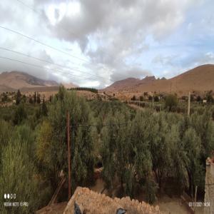  Ferme Oléicole Artisanale Bio - huiles nous recherchons un partenaire dans le but de vendre des olives destin&eacute;es &agrave; produire une huile de qualit&eacute; bio.--1000 oliviers entre 20 et 50ans avec possibilit&eacute; d'extension jusqu'&agrave; 2000 oliviers--la ferme est situ&eacute;e dans la zone de jerrada au maroc,  route ad