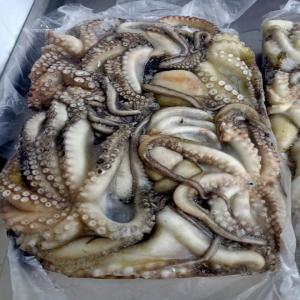  Poissons Frais Et Congelés - poissons salut ,  nous sommes &agrave; la recherche de clients int&eacute;ress&eacute;s par les poissons et tous les produits halieutiques frais et congel&eacute;s de tunis . --si vous etes int&eacute;ress&eacute;s contactez-nous sur num&eacute;ro whatsapp bonne journ&eacute;e . 