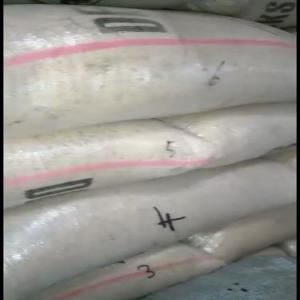  Soja Disponible En Grande Quantité - fruits et légumes soja non gmo disponible en grande quantité sur douala ( ancien et nouveau stock)----provenance- nord cameroun --si intéressé,  contactez moi