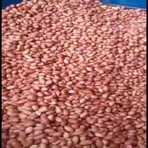  Arachides Rouge Et Teintées - fruits et légumes arachides rouges et teint&eacute;es en grande quantit&eacute; provenant  du nord cameroun --disponible sur douala----