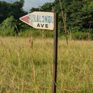  Du Poudre - autres la poudre de baobab, l'hibiscus, le cola, petit cola.. banane plantain--la poudre de baobab est de très bonnes qualités en plus très fine à  un coût  très abordable. --