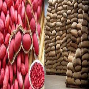  Vente De Graines D'arachide Abidjan - fruits secs et graines grillées société d'import/export dispose de 62 tonnes de graines d'arachide sec en stock. nous achetons directement nos produits bord champ avec les paysans au nord de la cote d'ivoire. nos graines sont donc bien sèches et bien conservées. aidez-nous à offrir des prix raiso