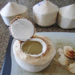  Fruits Et Légumes - fruits et légumes bonjour,  je dispose d'une grande quantité de noix de coco provenant de la région sud casamancaise du sénégal. je vous propose aussi une large gamme de produits tels que la mangue,  la papaye,  de l'arachide ,  du pain de singe,  fruits de la passion, du carressole et bien d'au