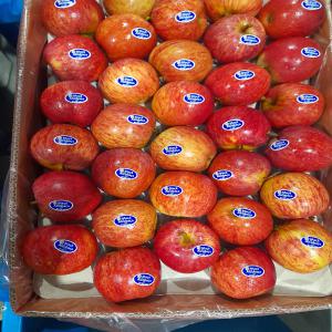  Pommes Fruits, Pommes De Terres, Tomate, Ananas - fruits et légumes  nous sommes une soci&eacute;t&eacute; d'e commerce et de n&eacute;goce international travaillant avec un vaste r&eacute;seau de fournisseurs partout dans le monde pour des mati&egrave;res premi&egrave;res et produits de premi&egrave;res n&eacute;cessit&eacute;. nous mettons actuellement en vente