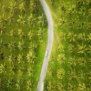  Projet De Création D'une Ferme Agricole - Investissement capitaux nous recherchons des partenaires pour la création d'une ferme agricole au bénin djija. cette ferme sera dédiée plantation des palmiers à huile et l'agriculture.